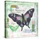 Butterfly Artifact Green-Alan Hopfensperger-Stretched Canvas