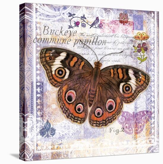 Butterfly Artifact Lilac-Alan Hopfensperger-Stretched Canvas