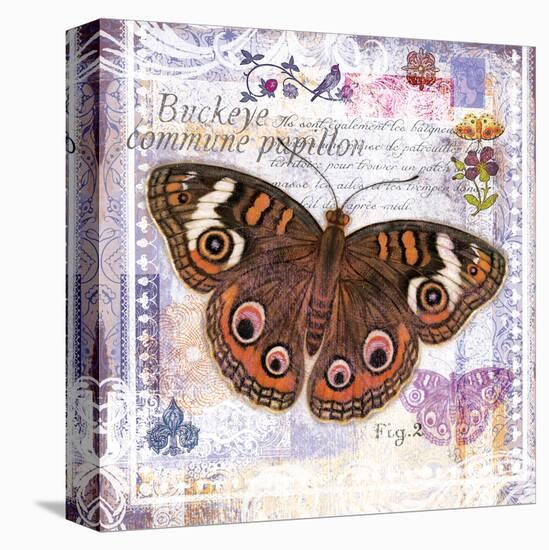 Butterfly Artifact Lilac-Alan Hopfensperger-Stretched Canvas