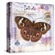 Butterfly Artifact Lilac-Alan Hopfensperger-Stretched Canvas