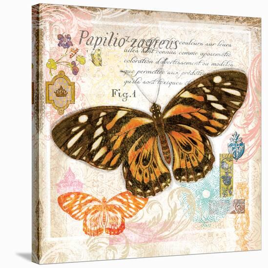 Butterfly Artifact Pink-Alan Hopfensperger-Stretched Canvas