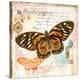 Butterfly Artifact Pink-Alan Hopfensperger-Stretched Canvas