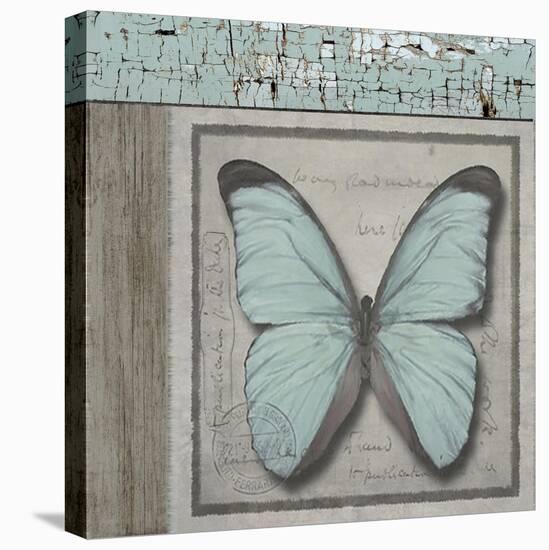 Butterfly Blue-Karen Williams-Premier Image Canvas