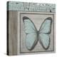 Butterfly Blue-Karen Williams-Premier Image Canvas