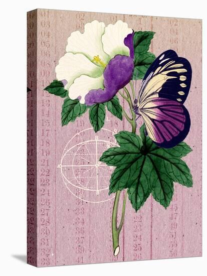 Butterfly Botanical Industrial Collage-Piddix-Stretched Canvas