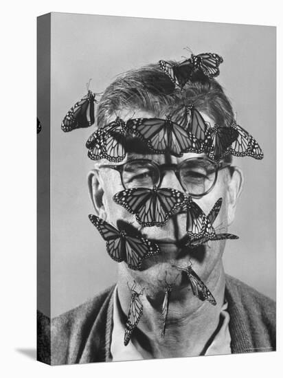 Butterfly Breeder Carl A. Anderson with Monarch Butterflies on His Face-John Dominis-Premier Image Canvas