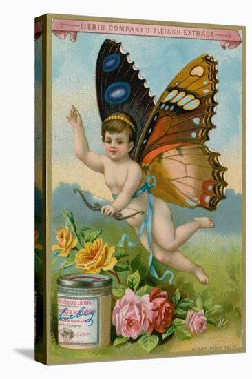 Butterfly Cherub with Roses-null-Premier Image Canvas