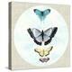 Butterfly Daydream II-Naomi McCavitt-Stretched Canvas