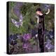 Butterfly Forest-Mindy Sommers-Premier Image Canvas