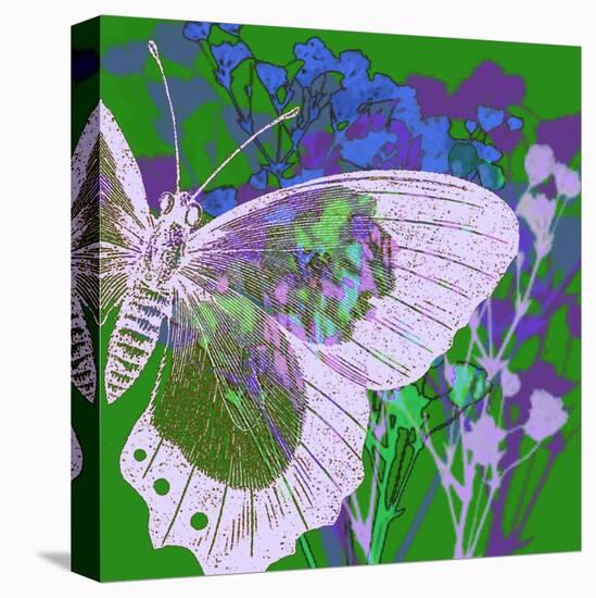 Butterfly Frenzey-Ricki Mountain-Stretched Canvas