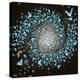 Butterfly Galaxy-Paula Belle Flores-Stretched Canvas