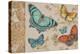 Butterfly Gathering-Chad Barrett-Stretched Canvas