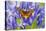 Butterfly Graphium Rydleyanus-Darrell Gulin-Premier Image Canvas
