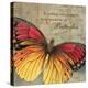 Butterfly I-Kimberly Poloson-Stretched Canvas