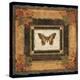 Butterfly II-Pamela Gladding-Stretched Canvas