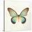 Butterfly Impression II-Irene Suchocki-Stretched Canvas