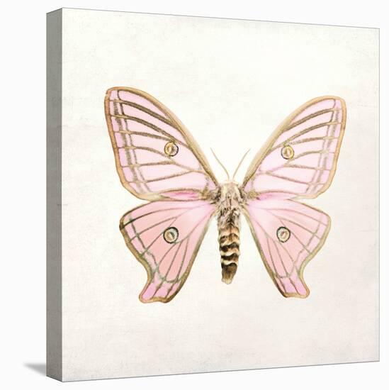 Butterfly Impression IV-Irene Suchocki-Stretched Canvas