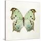 Butterfly Impression-Irene Suchocki-Stretched Canvas