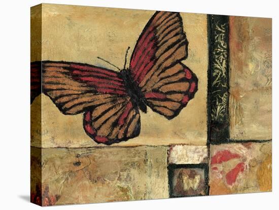 Butterfly in Red-Bagnato Judi-Stretched Canvas