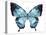 Butterfly Indigo Blue Watercolor-Alecs Chu-Stretched Canvas
