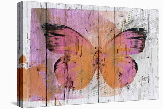 Butterfly Kiss-null-Stretched Canvas