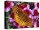 Butterfly Landing on Flowers-Ralph Morsch-Premier Image Canvas