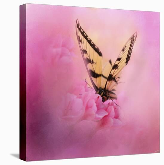 Butterfly on the Azaleas-Jai Johnson-Premier Image Canvas