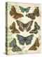 Butterfly Plate-Jean Plout-Premier Image Canvas