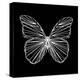 Butterfly Polygon-Lisa Kroll-Stretched Canvas