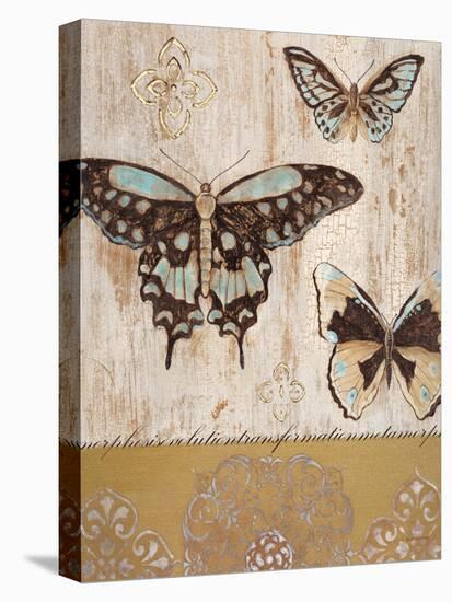 Butterfly Transformation-Studio 5-Stretched Canvas