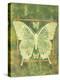 Butterfly Triad-Bee Sturgis-Stretched Canvas