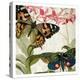 Butterfly World 1-Kimberly Allen-Stretched Canvas