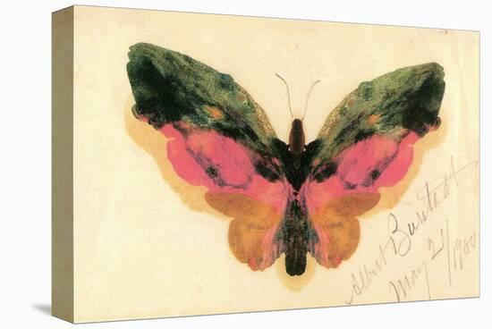 Butterfly-Albert Bierstadt-Stretched Canvas