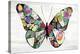 Butterfly-Aimee Wilson-Stretched Canvas