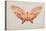 Butterfly-Albert Bierstadt-Premier Image Canvas