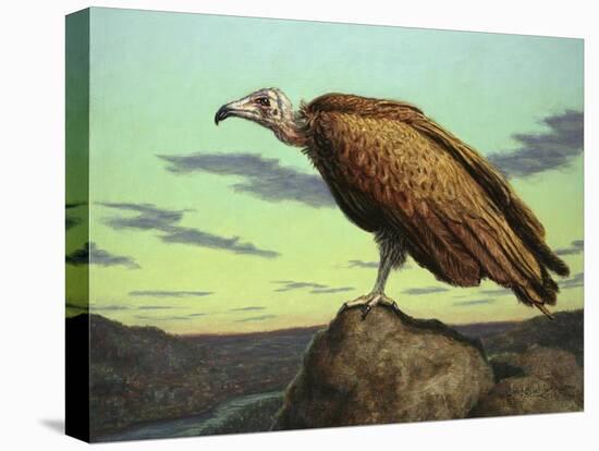 Buzzard Rock-James W. Johnson-Premier Image Canvas