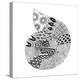 BW Decorated Nautilus-Pam Varacek-Stretched Canvas