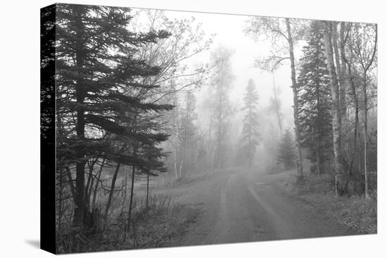 BW-Lake Superior 37-Gordon Semmens-Premier Image Canvas