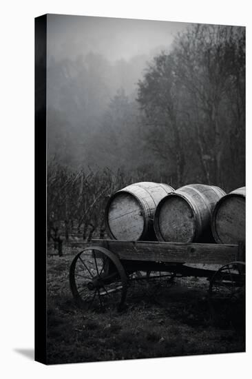 BW Oregon Wine Country II-Erin Berzel-Premier Image Canvas