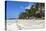 Bwejuu Beach, Zanzibar, Tanzania, East Africa, Africa-Peter Richardson-Premier Image Canvas