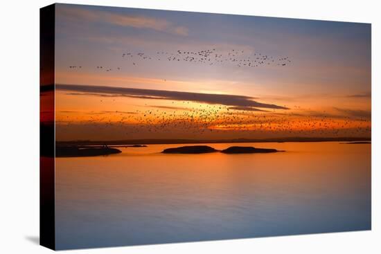 By Sunset-Piotr Krol (Bax)-Premier Image Canvas