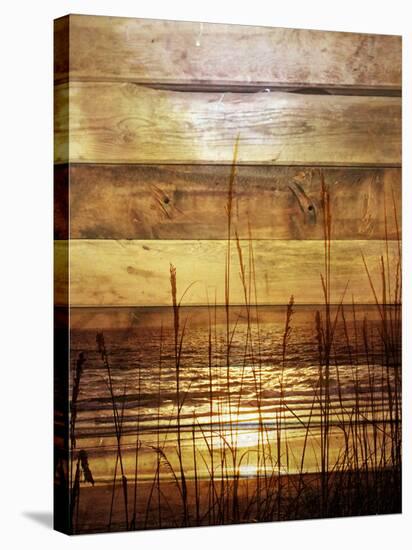 By The Grass Sunset Wood-Gail Peck-Stretched Canvas
