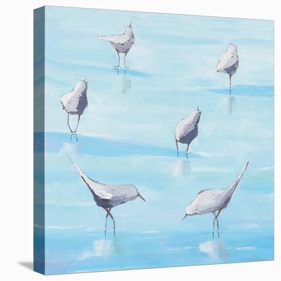 By the Waters Edge-Phyllis Adams-Stretched Canvas