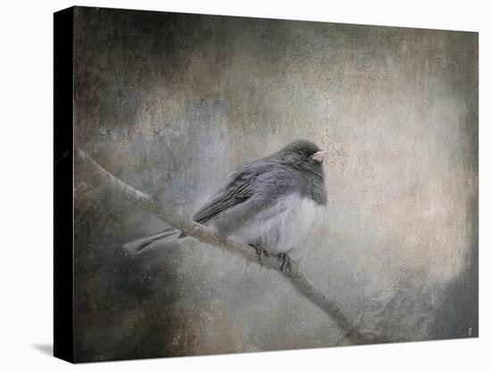 By Winter's Light-Jai Johnson-Premier Image Canvas