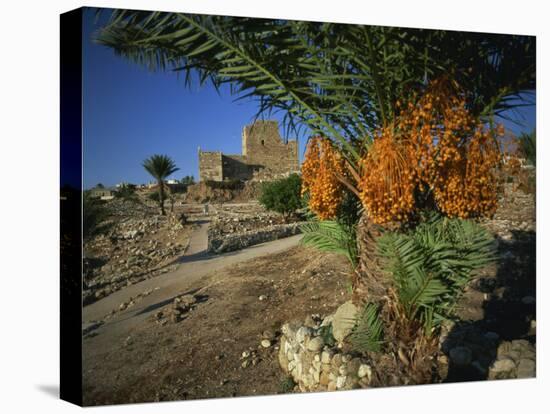 Byblos, Lebanon, Middle East-Olivieri Oliviero-Premier Image Canvas