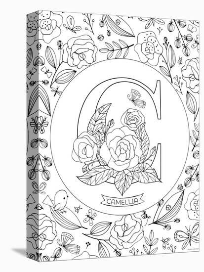 C is for Camellia-Heather Rosas-Stretched Canvas