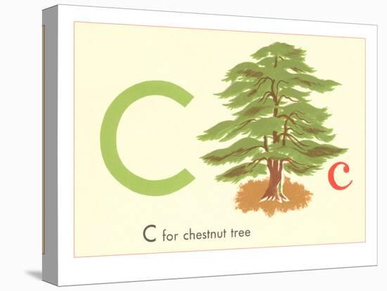 C is for Chestnut Tree-null-Stretched Canvas