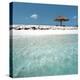 Cabana at the Beach-null-Premier Image Canvas