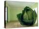 Cabbage (After Magritte) 1995-Norman Hollands-Premier Image Canvas