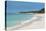 Cabbage Beach, Paradise Island, Nassau, New Providence, Bahamas, Caribbean-Michael Runkel-Premier Image Canvas